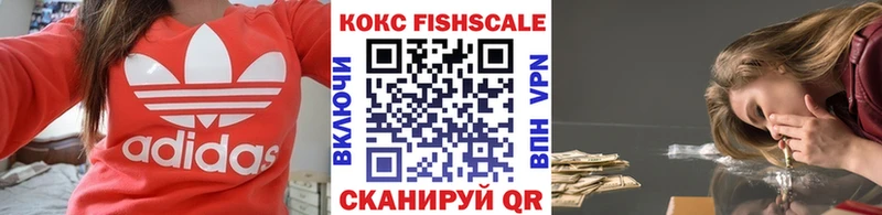 МЕГА онион  продажа наркотиков  Заводоуковск  Cocaine Колумбийский 